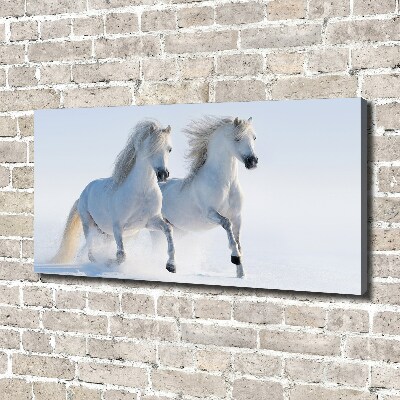 Schilderij op canvas Twee paarden in de sneeuw