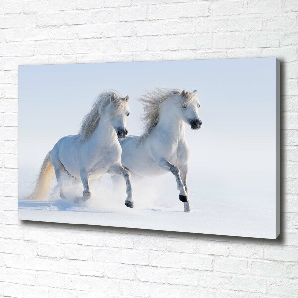 Schilderij op canvas Twee paarden in de sneeuw