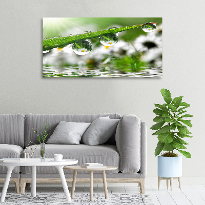 Schilderij op canvas Druppels op het gras