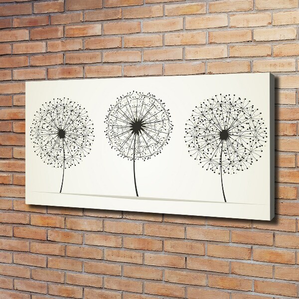 Foto obraz canvas Dmuchawce