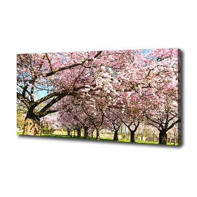 Duży Foto obraz na płótnie Drzewa wiśni