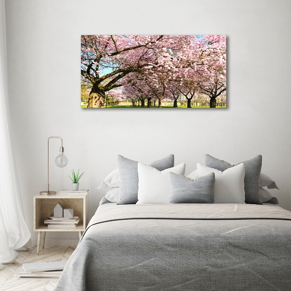 Foto op canvas Kersenbomen