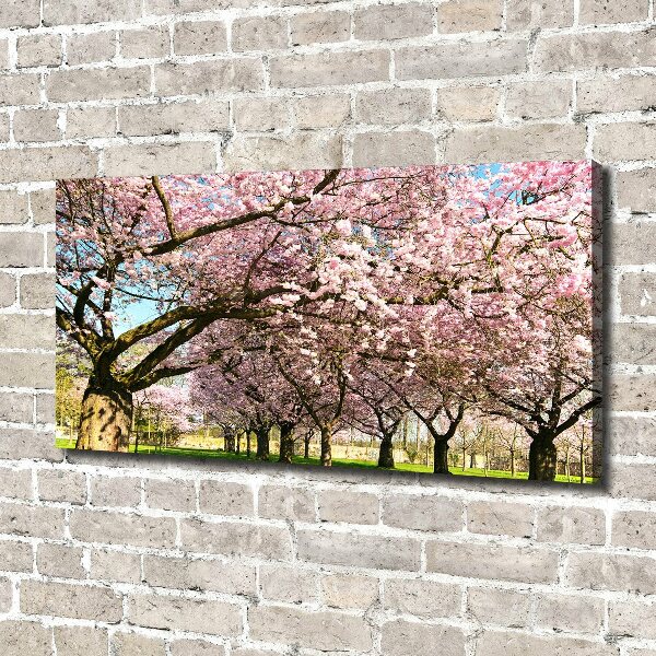 Foto op canvas Kersenbomen