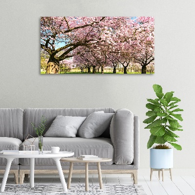 Foto op canvas Kersenbomen