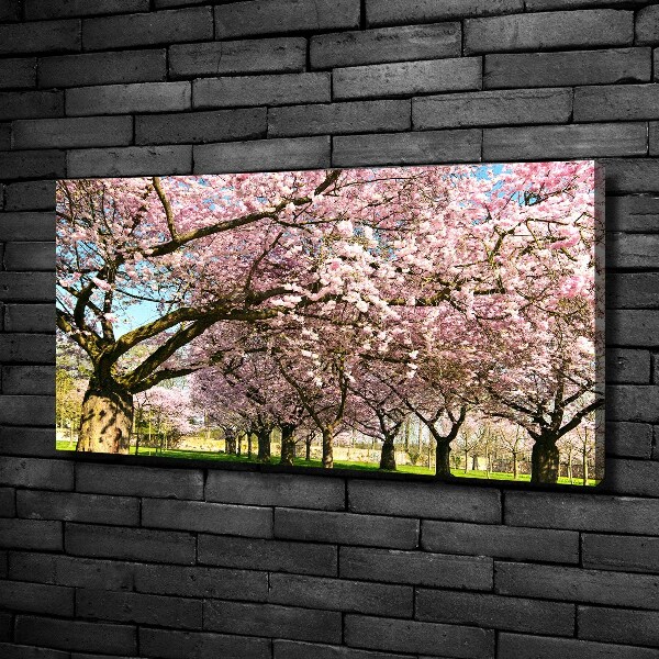 Foto op canvas Kersenbomen