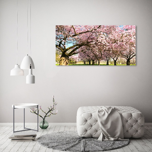 Foto op canvas Kersenbomen