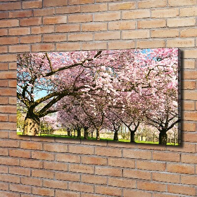 Duży Foto obraz na płótnie Drzewa wiśni