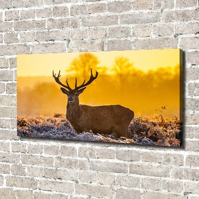 Foto obraz na płótnie Jeleń wschód słońca