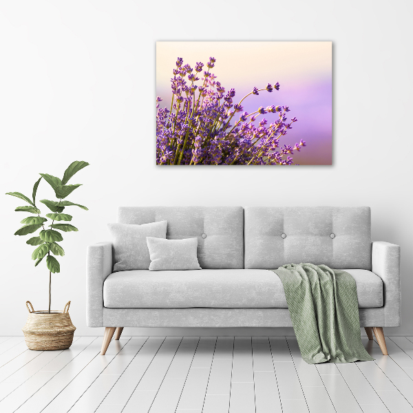 Canvas foto Lavendel