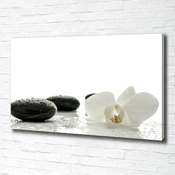 Schilderij op canvas Orchidee