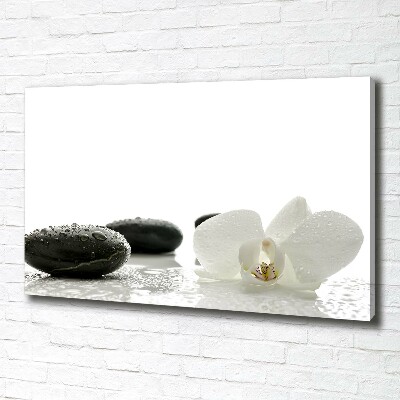 Schilderij op canvas Orchidee