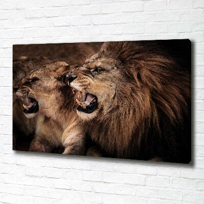 Foto obraz canvas Ryczące lwy
