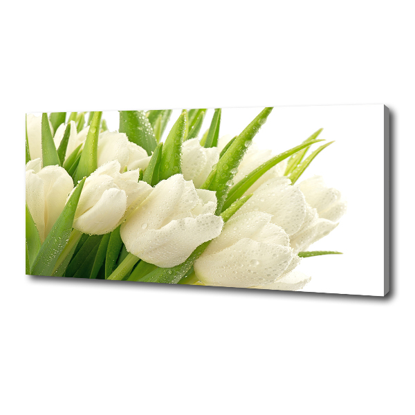 Foto canvas Witte tulpen