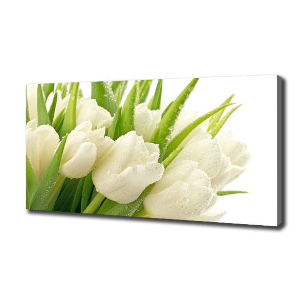Foto canvas Witte tulpen