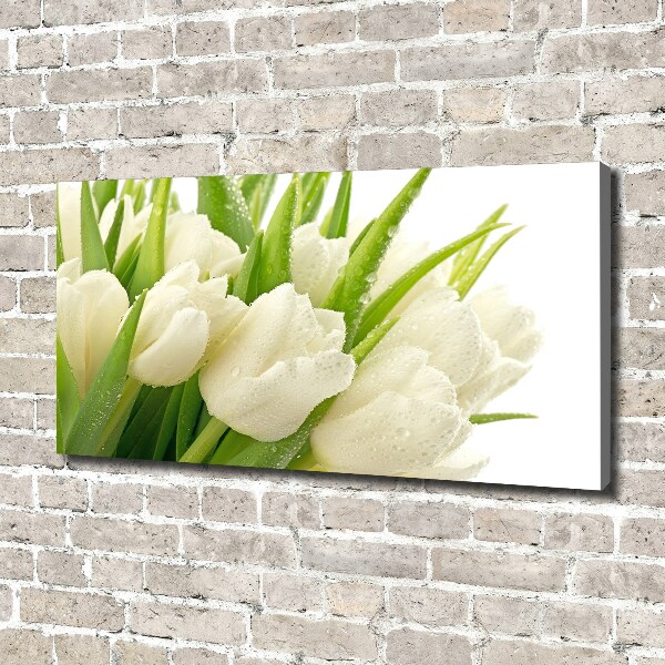 Foto canvas Witte tulpen