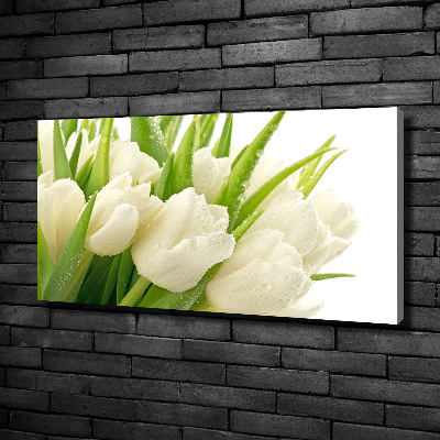 Foto canvas Witte tulpen