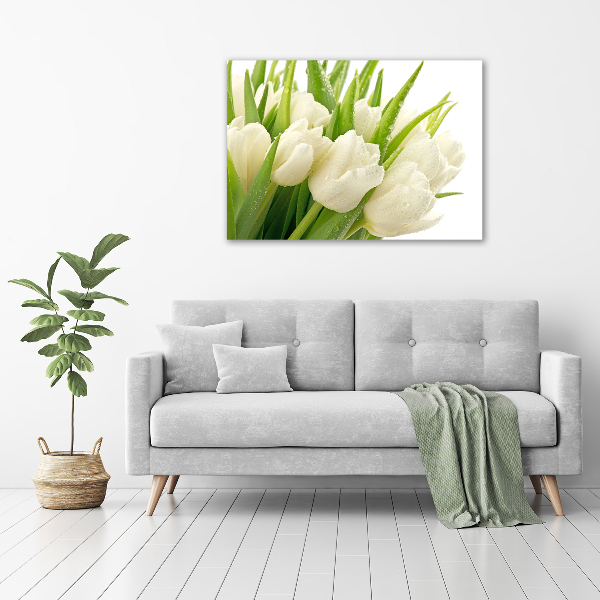 Foto canvas Witte tulpen