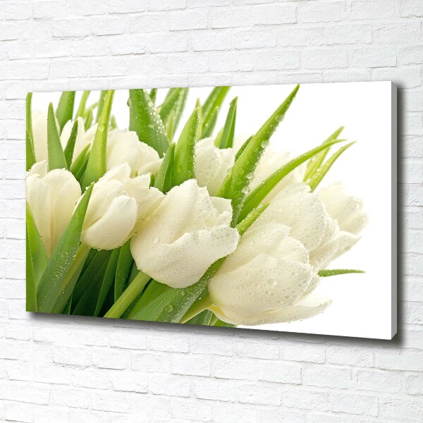Foto canvas Witte tulpen