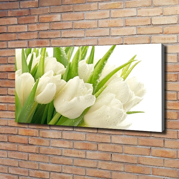 Foto canvas Witte tulpen