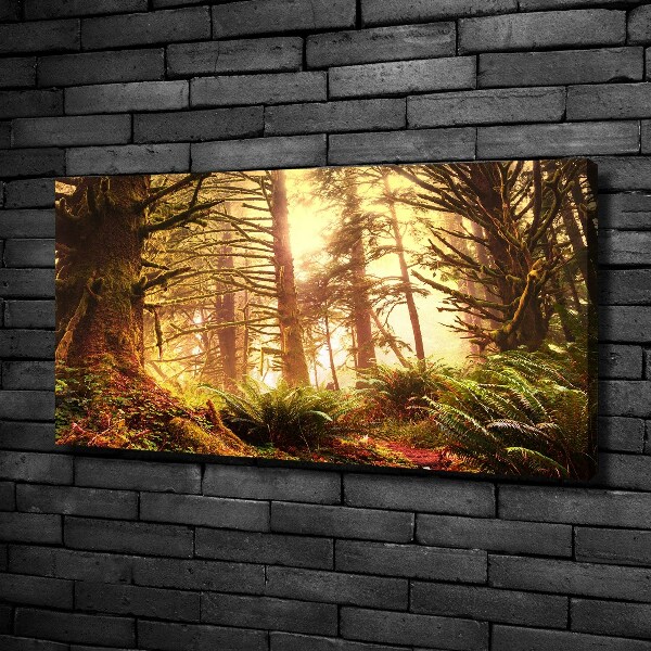 Schilderij op canvas regenwoud