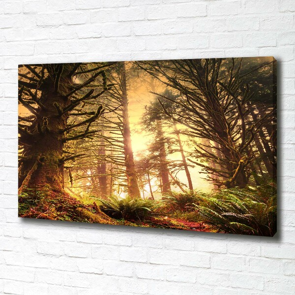 Schilderij op canvas regenwoud