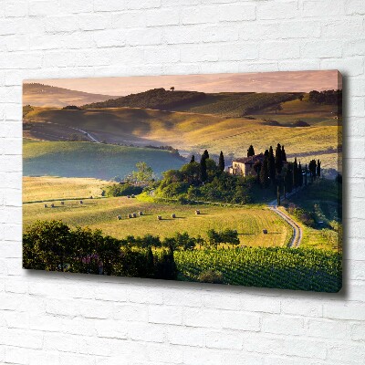 Foto canvas Toscane, Italië
