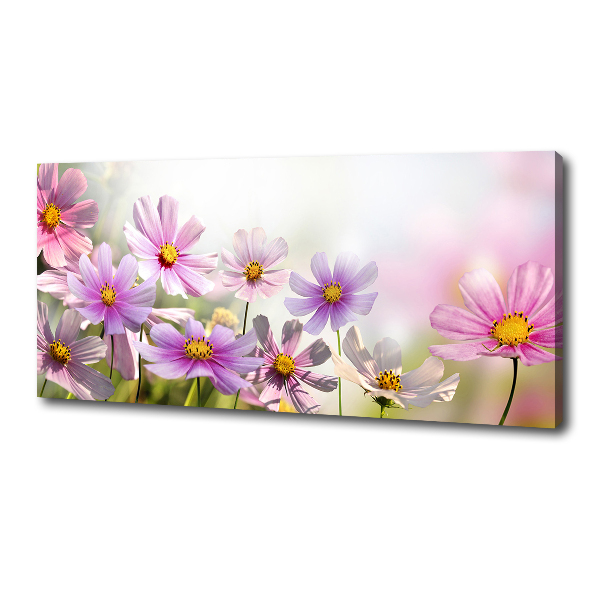 Foto op canvas Bloemen in de weide