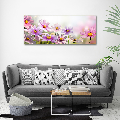 Foto op canvas Bloemen in de weide