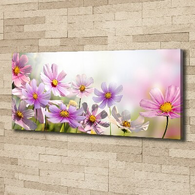 Foto op canvas Bloemen in de weide