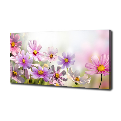 Foto op canvas Bloemen in de weide