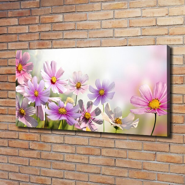 Foto op canvas Bloemen in de weide