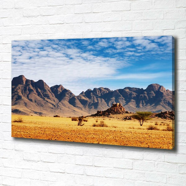 Foto op canvas Rotsen in Namibië