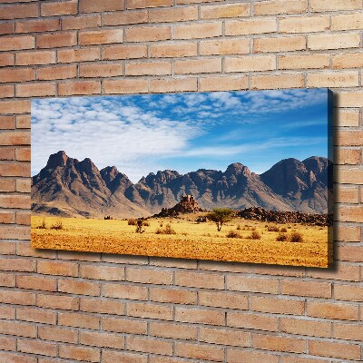 Foto op canvas Rotsen in Namibië