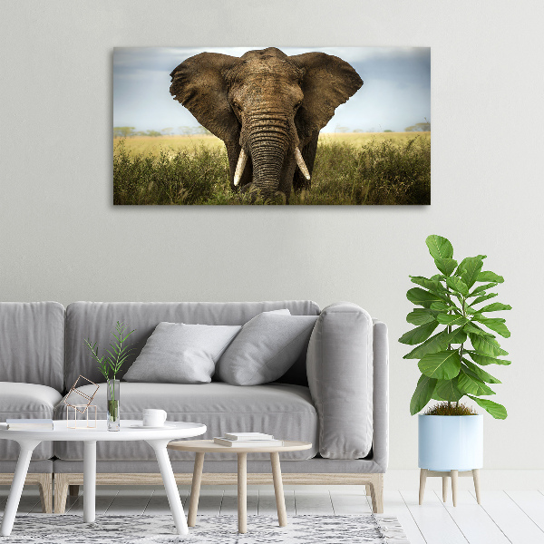 Canvas schilderij Olifant op de savanne