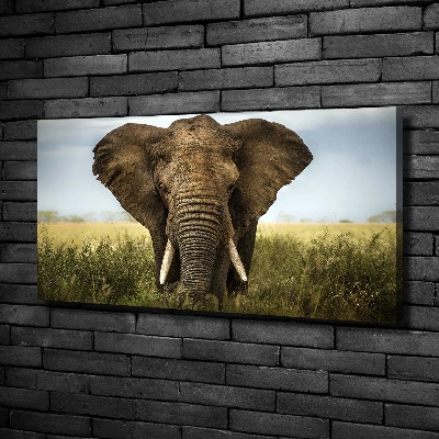 Canvas schilderij Olifant op de savanne