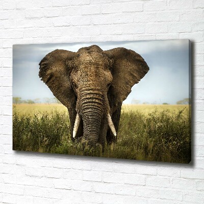 Canvas schilderij Olifant op de savanne