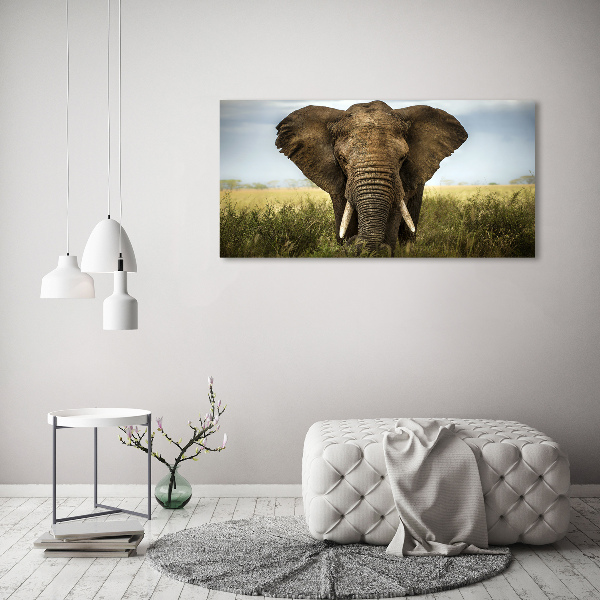 Canvas schilderij Olifant op de savanne
