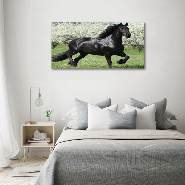 Schilderij op canvas Zwarte paardenbloemen