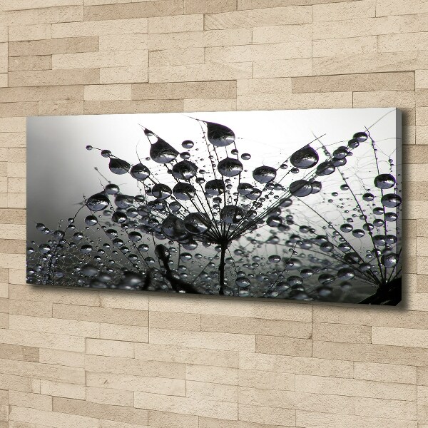 Canvas schilderij Paardenbloemzaden