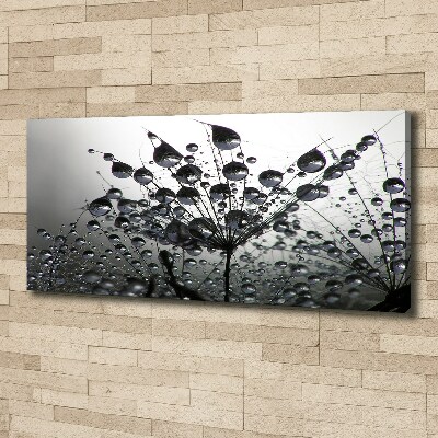 Canvas schilderij Paardenbloemzaden