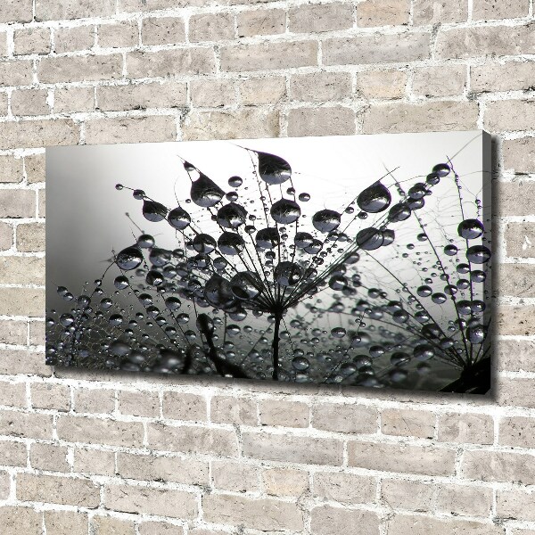 Canvas schilderij Paardenbloemzaden