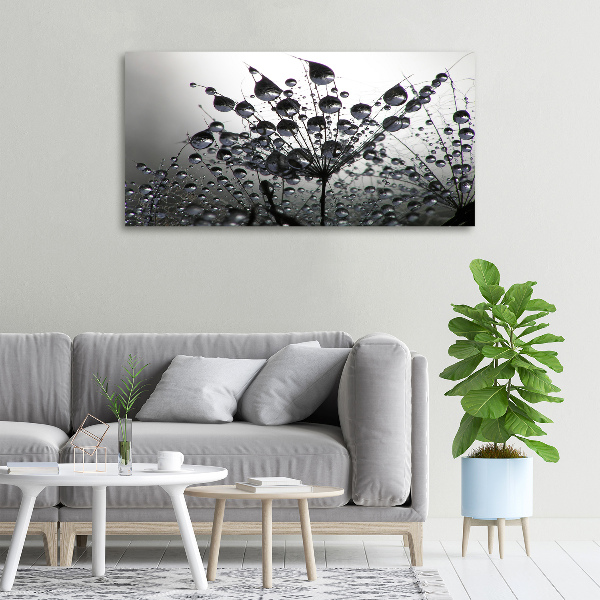 Canvas schilderij Paardenbloemzaden