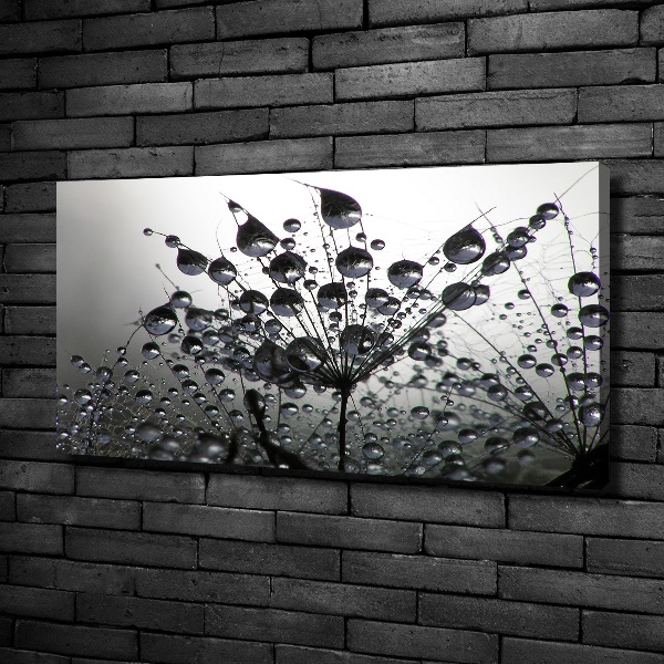 Canvas schilderij Paardenbloemzaden