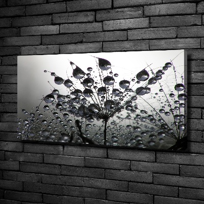 Foto obraz na płótnie Nasiona dmuchawca