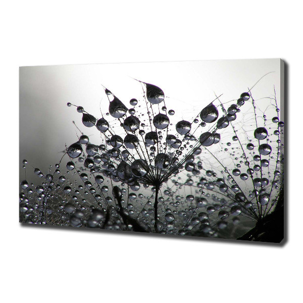 Canvas schilderij Paardenbloemzaden