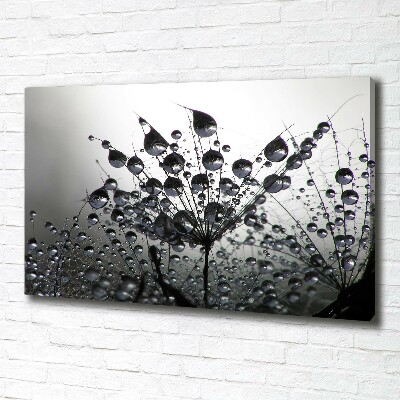 Canvas schilderij Paardenbloemzaden