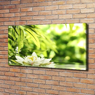 Foto obraz canvas Lilia wodna