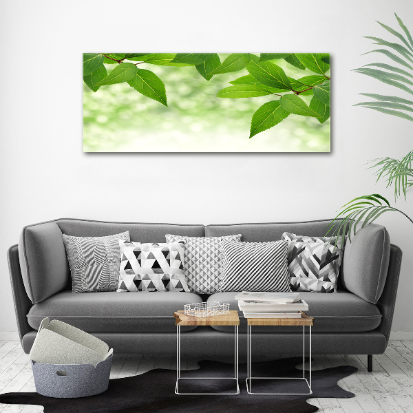 Foto canvas Groene bladeren