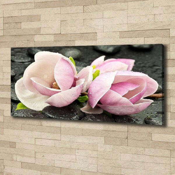 Canvas foto Magnolia zensteen