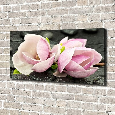 Canvas foto Magnolia zensteen